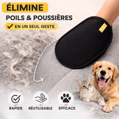 SILEA - Gant anti-poils et poussières